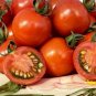 Middle Red McCullough Tomato 600 Seeds