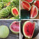 Snow Pear Water Melon 20 Seeds