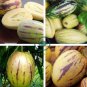 Rare Melon Pepion (Solanium Muricata) Organic Heirloom Vegetable 40 Seeds