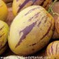 Rare Melon Pepion (Solanium Muricata) Organic Heirloom Vegetable 40 Seeds