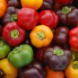 Red Pickled Bubble Hot Chili Peppers 1000 seeds