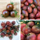 Purple Golden Cherry Tomato Organic 40 Seeds