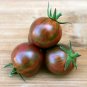 Purple Golden Cherry Tomato Organic 40 Seeds