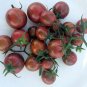 Purple Golden Cherry Tomato Organic 40 Seeds