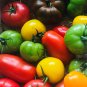 Colorful Small Cherry Tomato Organic 40 Seeds