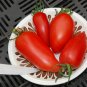 'Ox Horn' Rare Tomato 800 Seeds
