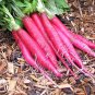 Big Red Radish Vegetable F1 1000 Seeds