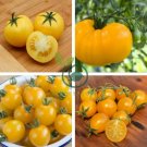 Middle Dark Yellow Tomato with Red Top Organic 40 Seeds