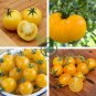 Middle Dark Yellow Tomato with Red Top Organic 40 Seeds