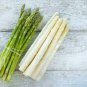 White Asparagus 24 Seeds