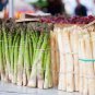 White Asparagus 24 Seeds