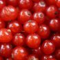 White Eggplants Tomato Goji Berry Coffee Watermelon Pepper 24 Seeds
