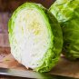 Green Cabbage 110 Seeds