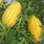 Yellow Skin Yellow Inside Sweet Round Watermelon 'Wu Feng'  40 Seeds