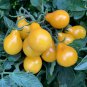 Yellow Pear' Organic Heirloom Tomato 200 Seeds
