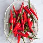 Sichuan Red Pickled Chili 600 Seeds