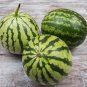Combo Black/Red Tomato Chinese Yam Watermelon Flowers 24 Seeds