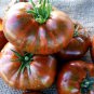 Heirloom Big Chocolate Stripes Tomato Hybrid 200 Seeds