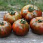 Heirloom Big Chocolate Stripes Tomato Hybrid 200 Seeds