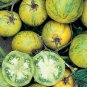 Middle Green Tomato with Dark Green Stripe Original 600 Seeds