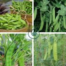 Sweet Green Vegetable Peas 20 Seeds