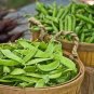 Sweet Green Vegetable Peas 20 Seeds