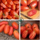 New Rare Green Red Long Tomato 'OX Horn' Organic 800 Seeds