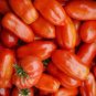 New Rare Green Red Long Tomato 'OX Horn' Organic 800 Seeds