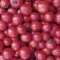 American Pink Long Tomato Organic 600 Seeds