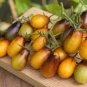 Pearl Drops Tomato F1 200 Seeds