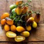 Pearl Drops Tomato F1 200 Seeds