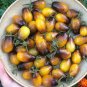 Pearl Drops Tomato F1 200 Seeds