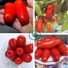 Super Rare Red AURIA Tomato 200 Seeds