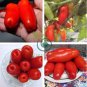 Super Rare Red AURIA Tomato 200 Seeds
