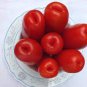 Super Rare Red AURIA Tomato 200 Seeds