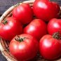 Small Big Mixed Dark Red Tomato Hybrid 200 Seeds