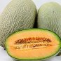 Big Yellow Sweet Taste Vegetable Mitarl Melon 16 Seeds