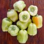 Sweet White Bell Pepper 16 Seeds