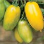 'Green Banana' Tomato 300 Seeds