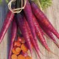 Purple Carrot Vegetable 60 Seeds