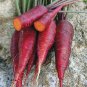 Purple Carrot Vegetable 60 Seeds