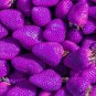 Purple Strawberry Easily Grow In Garden Potting 200 Seeds