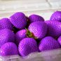 Purple Strawberry Easily Grow In Garden Potting 200 Seeds