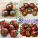 Artisan Purple Bumblebee Cherry Tomato 200 Seeds