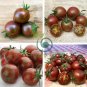 Artisan Purple Bumblebee Cherry Tomato 200 Seeds