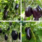 Aubergine Black Egg Plant Vegetables 200 Seeds