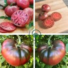 Organic Heirloom Cherokee Purple Solanum Llycopersium Tomato 200 Seeds