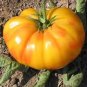 'Old German' Rare Organic Heirloom Tomato 200 Seeds