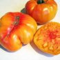 'Old German' Rare Organic Heirloom Tomato 200 Seeds
