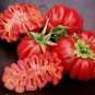 Rare Zapotec Ruffled Tomato Organic 200 Seeds